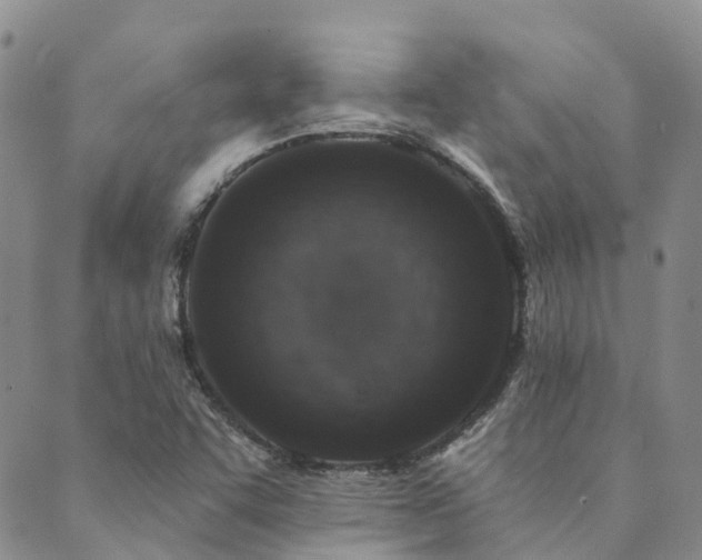 X0000089701455200706211306