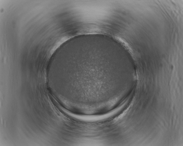 X0000089701457200706211306