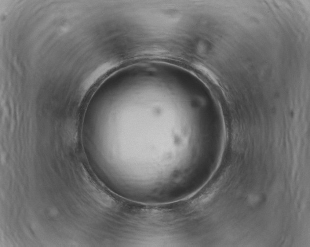 X0000089701458200706211306