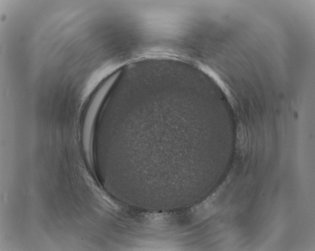 X0000089701461200706211306