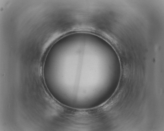 X0000089701462200706211306