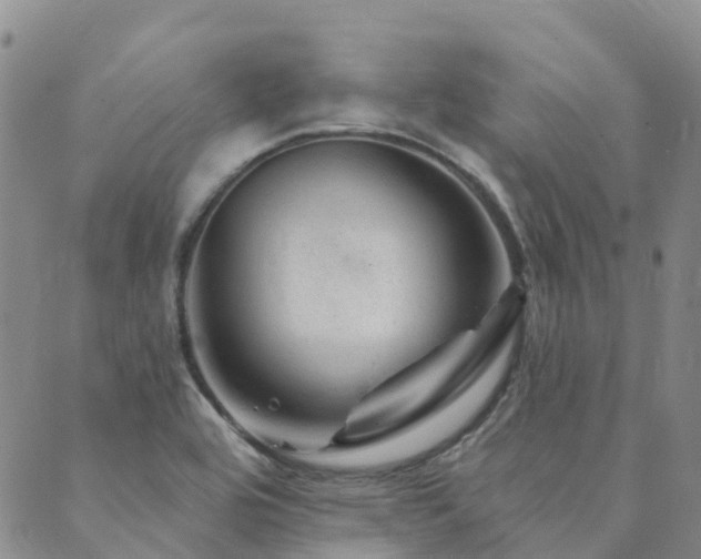 X0000089701464200706211306