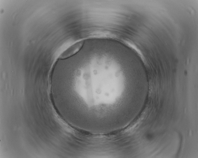 X0000089701467200706211306