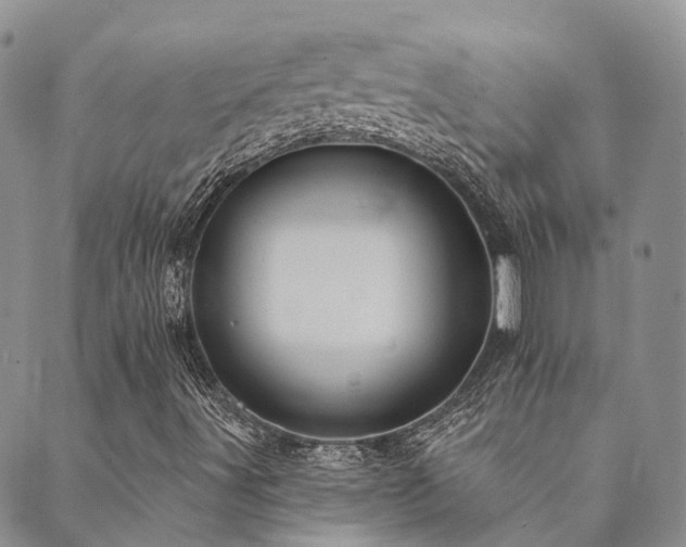 X0000089701491200706211304