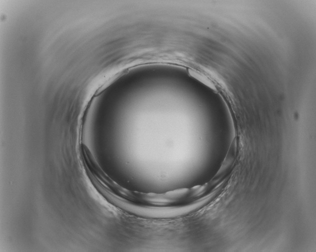 X0000089701528200706211305