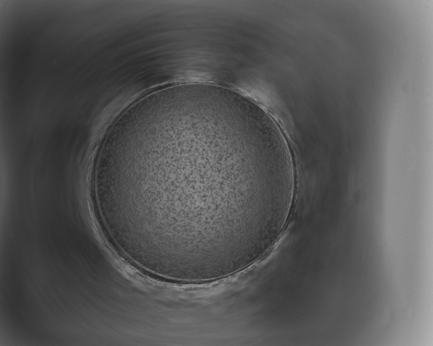 X0000089700001200706281503