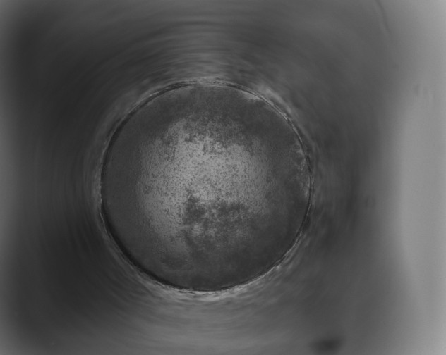 X0000089700002200706281503