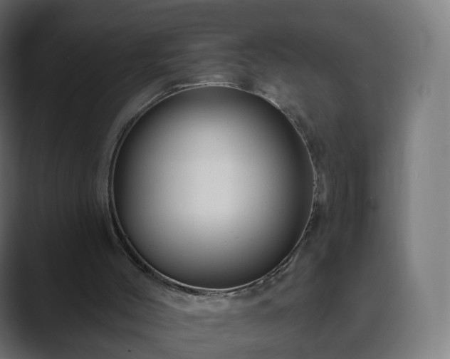 X0000089700004200706281503