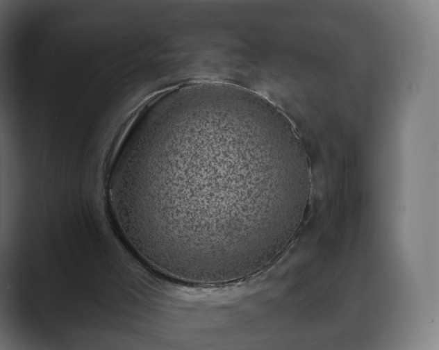 X0000089700005200706281503