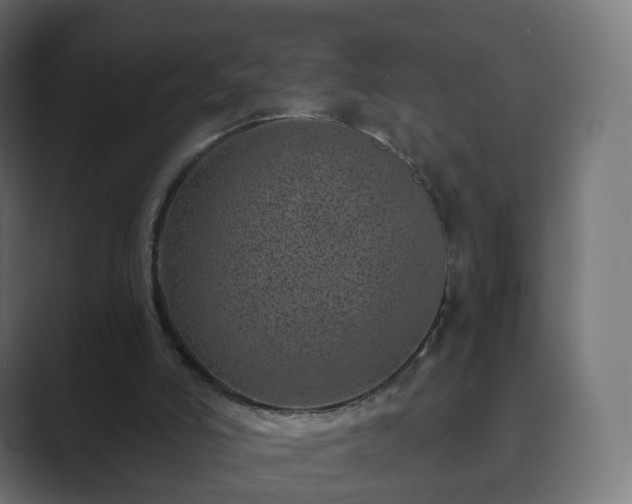 X0000089700006200706281503