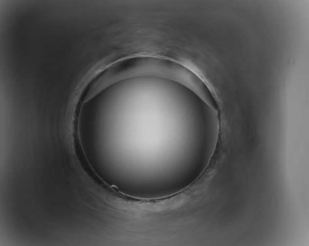 X0000089700007200706281503