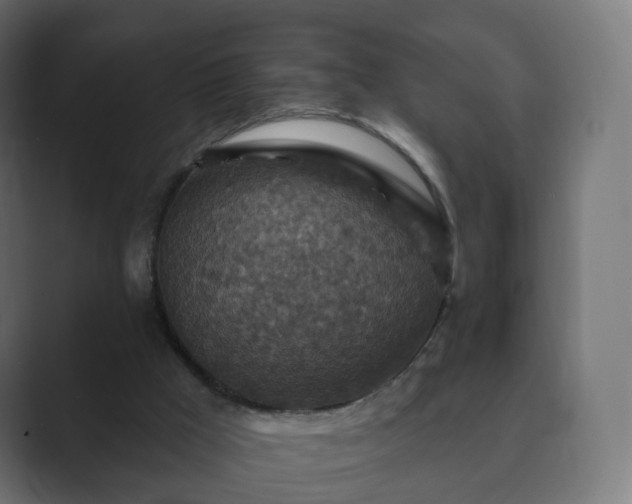 X0000089700009200706281503