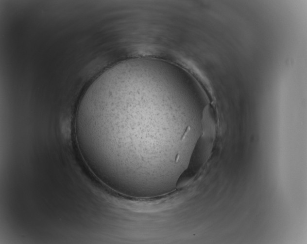 X0000089700010200706281503