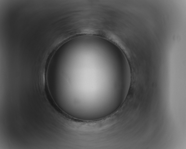 X0000089700011200706281503