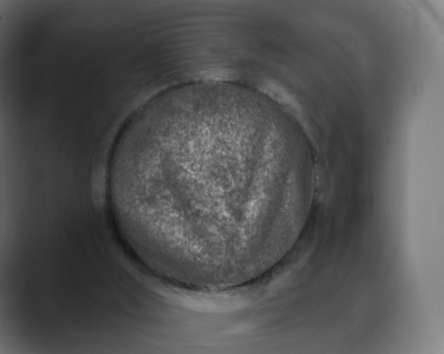 X0000089700012200706281503