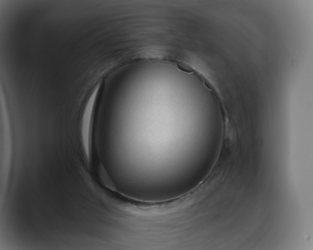 X0000089700013200706281503