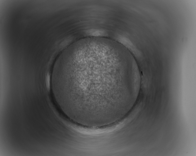 X0000089700014200706281503