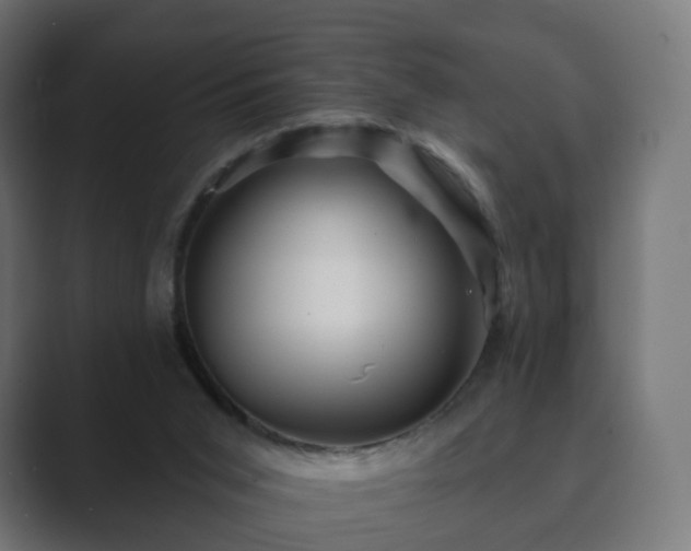 X0000089700015200706281503