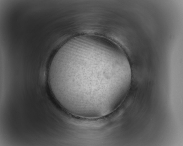 X0000089700016200706281503