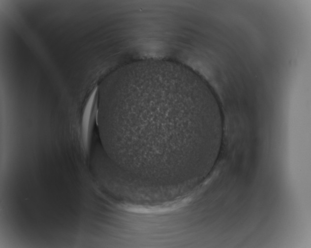 X0000089700017200706281503