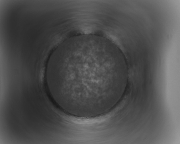 X0000089700018200706281503