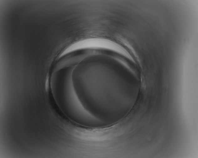 X0000089700019200706281502