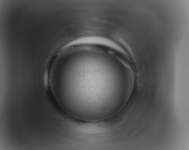 X0000089700020200706281502