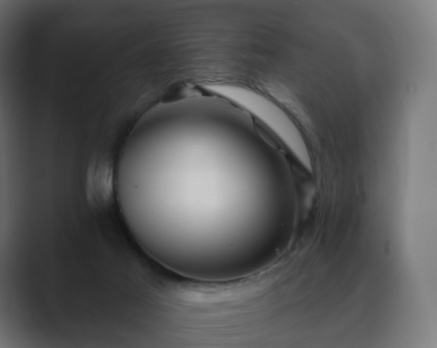 X0000089700021200706281502