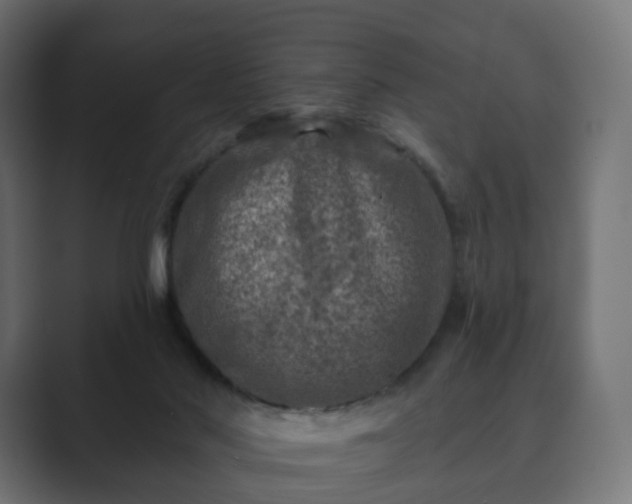 X0000089700022200706281502