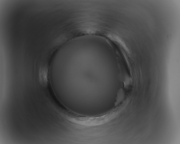 X0000089700023200706281502