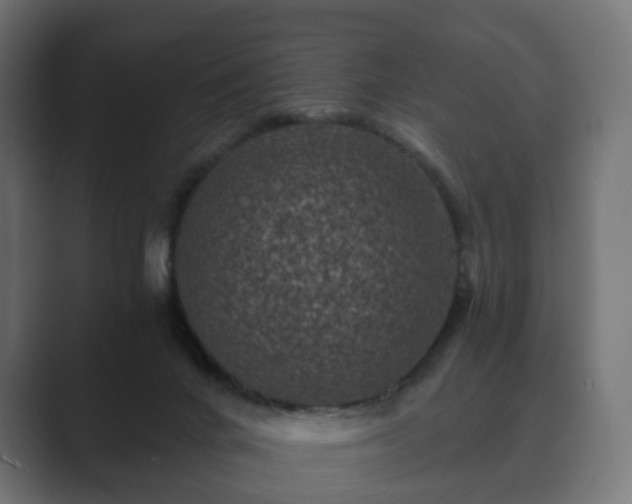 X0000089700024200706281502