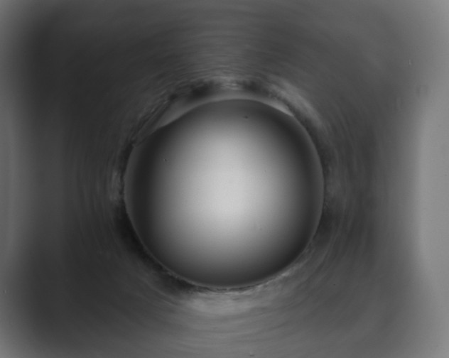 X0000089700025200706281502