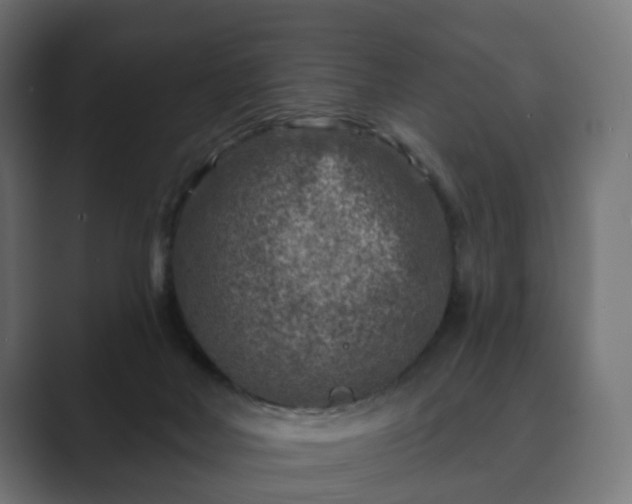 X0000089700026200706281502