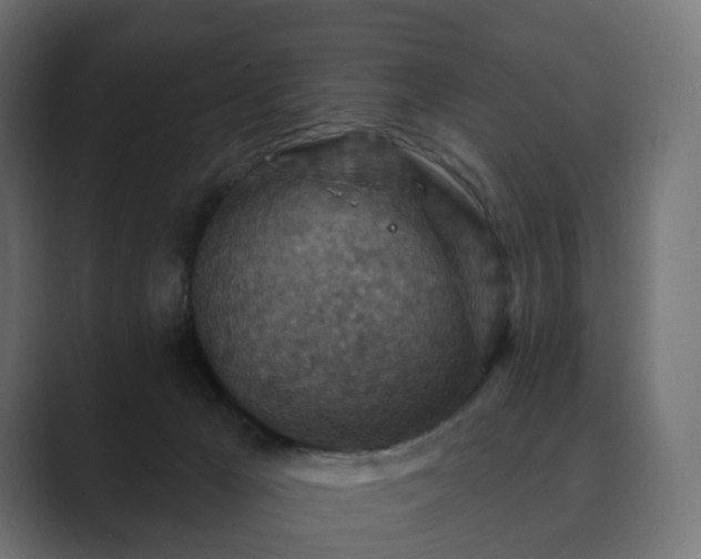 X0000089700029200706281502