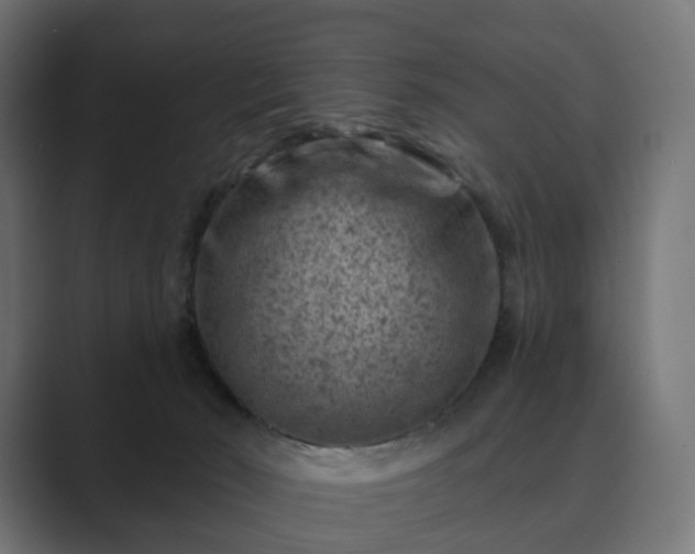 X0000089700030200706281502