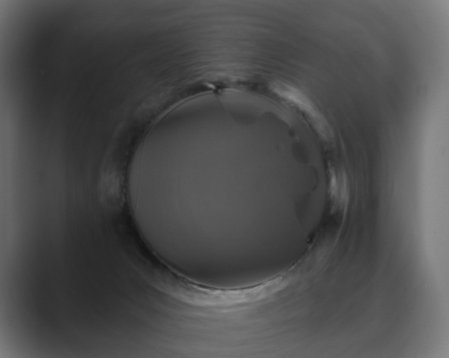 X0000089700031200706281502