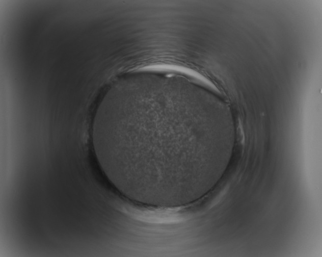 X0000089700032200706281502