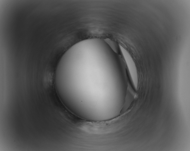 X0000089700033200706281502