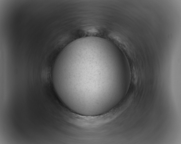 X0000089700034200706281502