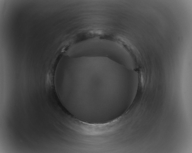 X0000089700035200706281502