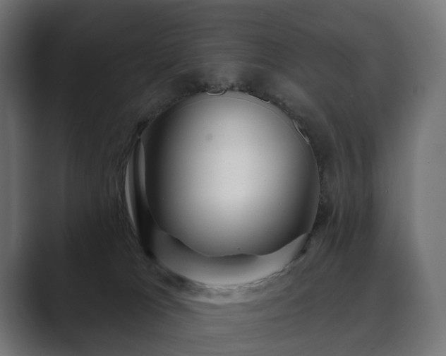 X0000089700037200706281502