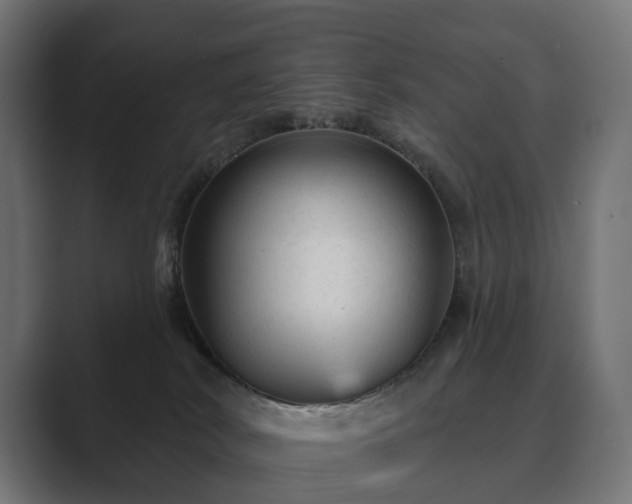 X0000089700038200706281502