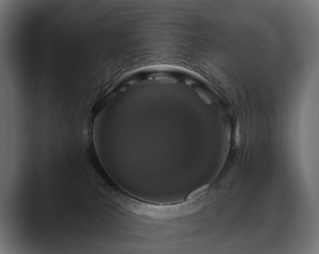 X0000089700039200706281502