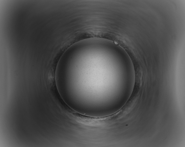 X0000089700040200706281502