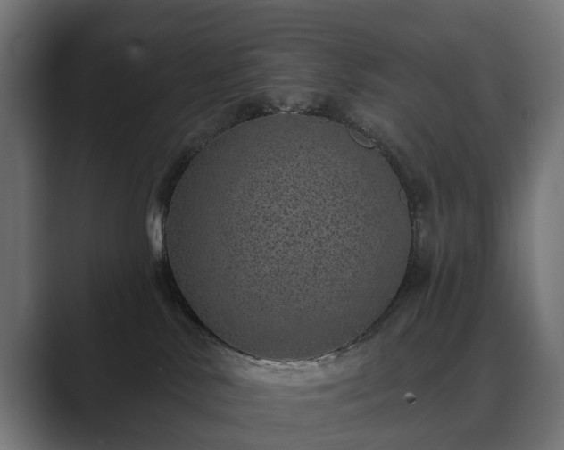 X0000089700042200706281502