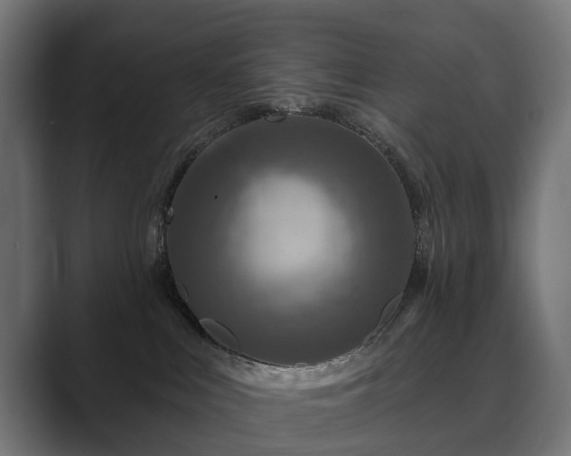 X0000089700043200706281502