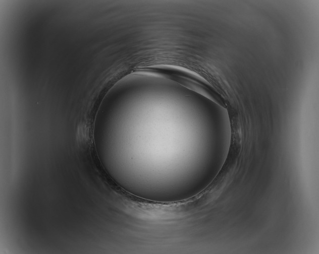 X0000089700044200706281502