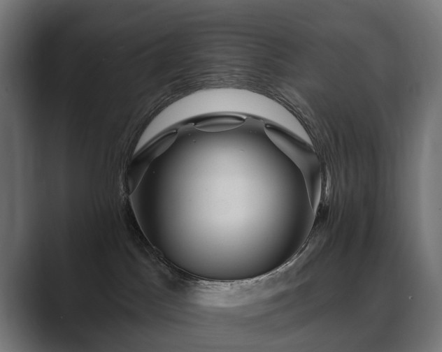 X0000089700045200706281502