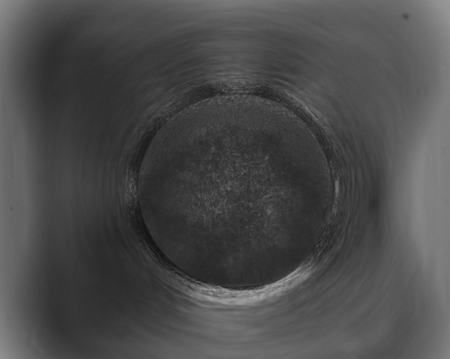 X0000089700048200706281502