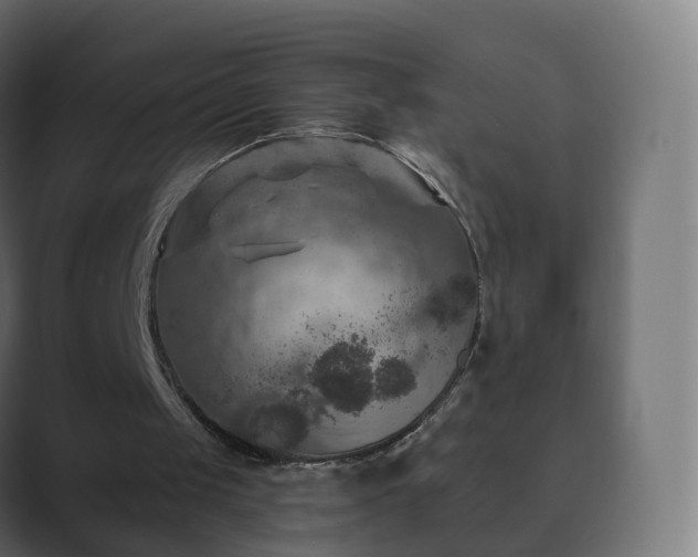 X0000089700049200706281502